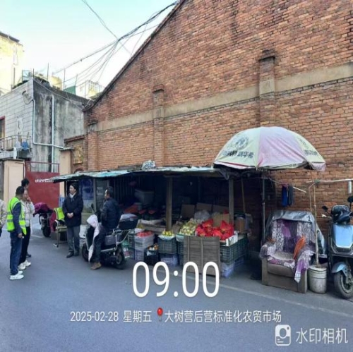 处置前照片