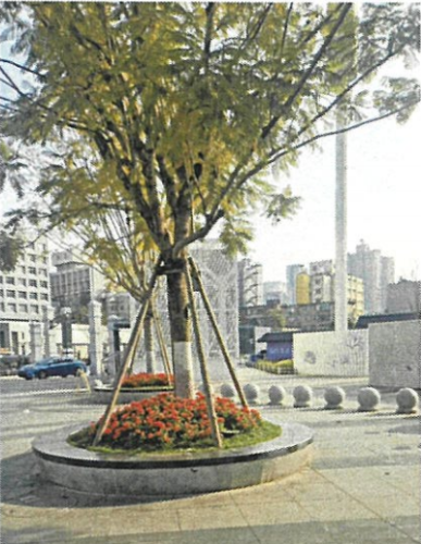 整治后图片1