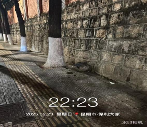 发机动车乱停放整治后