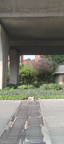 处置后